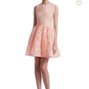 Rex flared fil coupé gazar mini dress